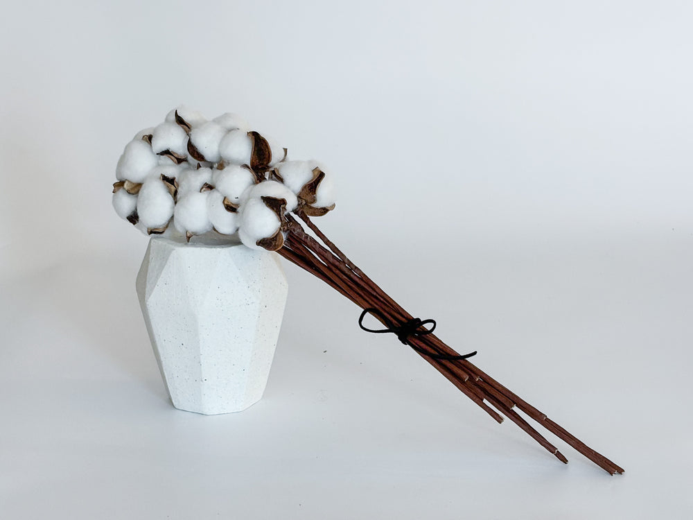 Natural Preserved Cotton Flower Stems