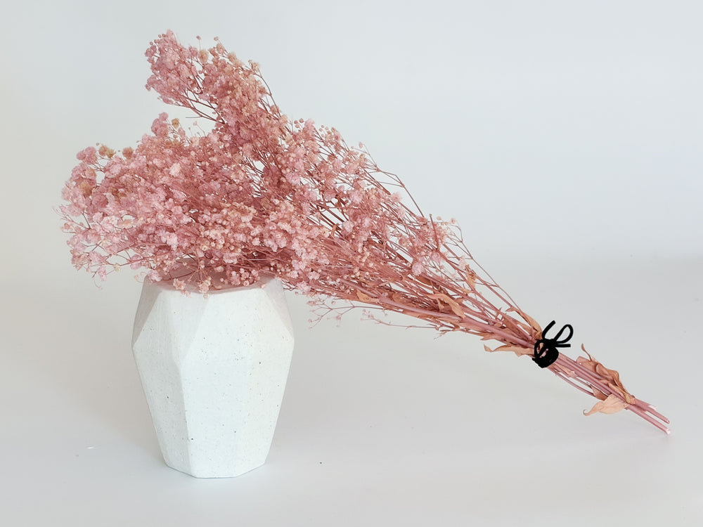 Natural Preserved Baby's Breath - Pink