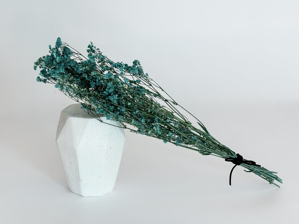 Natural Preserved Baby's Breath - Blue