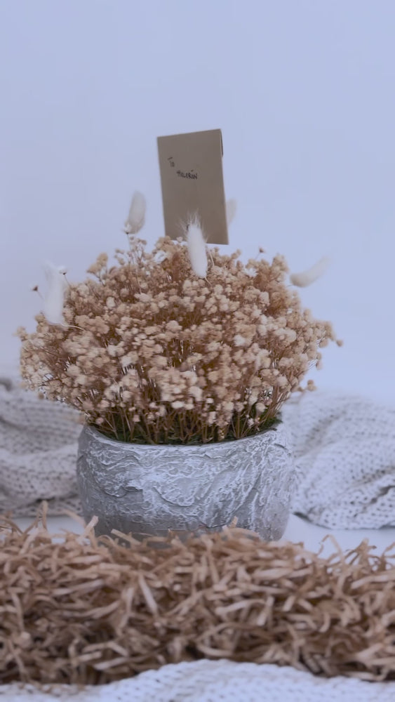 
                  
                    Load and play video in Gallery viewer, Botanic Beige Pastel Bouquet in Grey Clay Vase - Small
                  
                